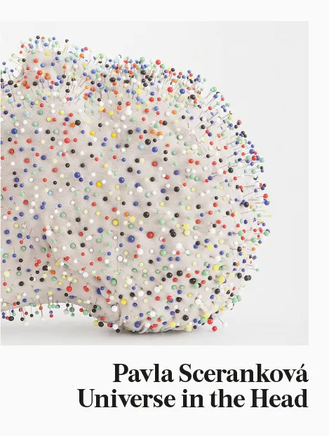 Pavla Sceranková, Vesmír v hlavě 12941