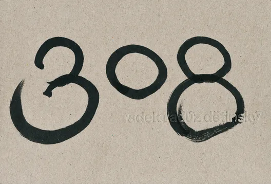 Radek Dětinský, 308image